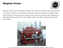 Tablet Screenshot of binghampumps.com